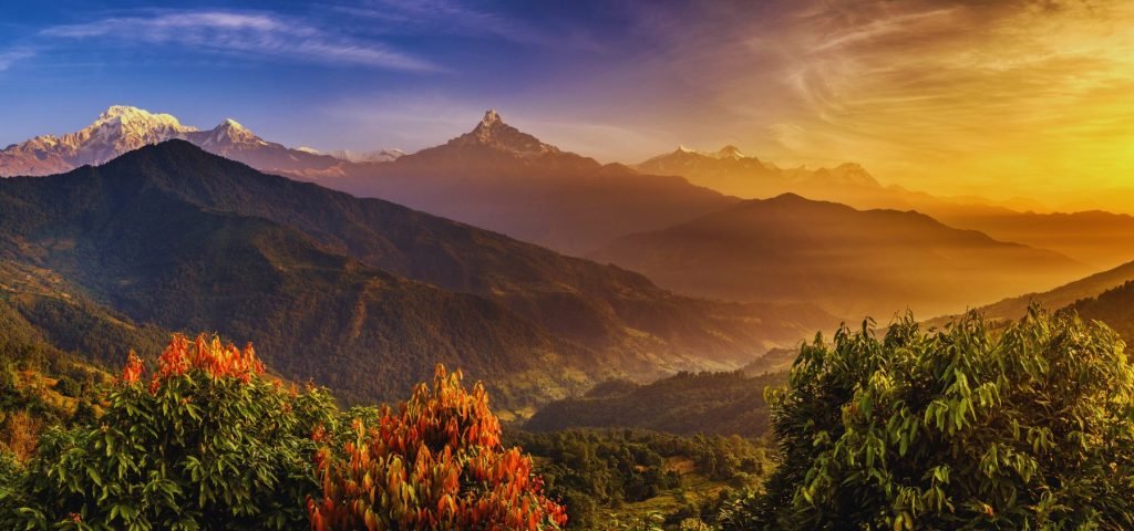 Index Search Box sarangkot bg